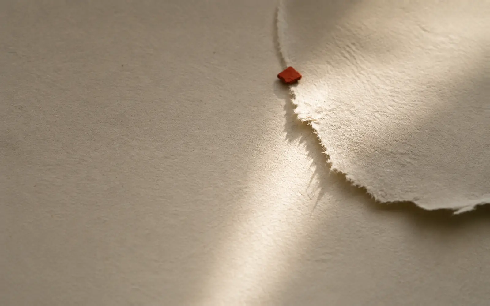 A torn edge of paper crosses a bone ground; one small red fragment rests on the edge in raking light.